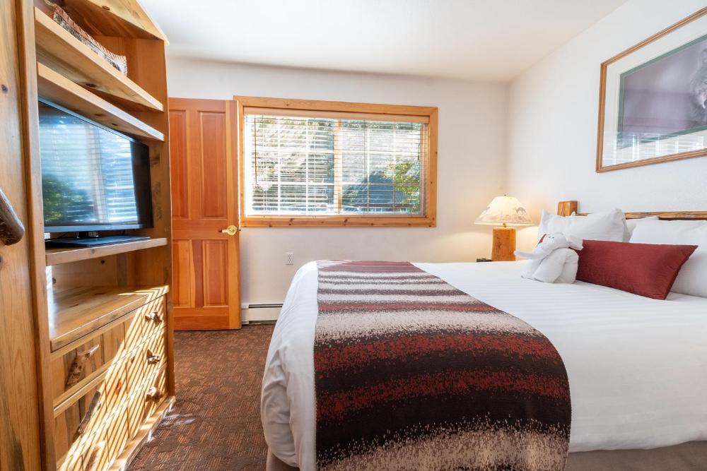 One-Bedroom Apartment interior